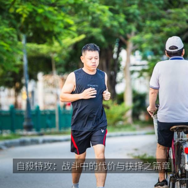 自殺特攻：战斗中的代价与抉择之篇章 海报