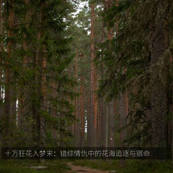 十万狂花入梦来：错综情仇中的花海追逐与宿命 海报