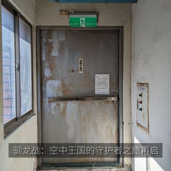 驯龙战：空中王国的守护者之旅再启 海报