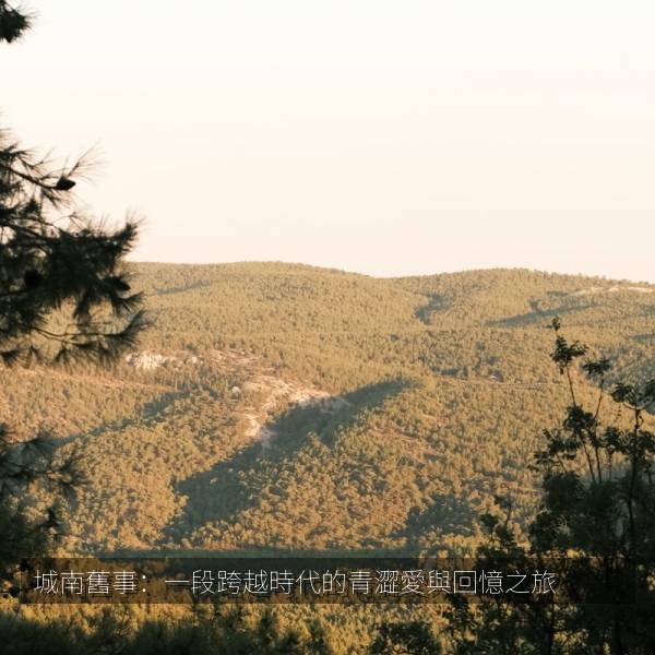 城南舊事：一段跨越時代的青澀愛與回憶之旅 海报