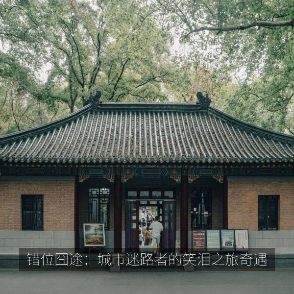 错位囧途：城市迷路者的笑泪之旅奇遇 海报