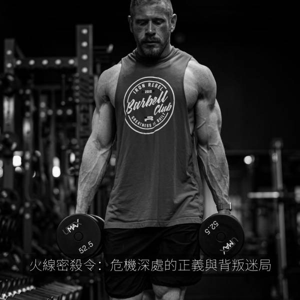 火線密殺令：危機深處的正義與背叛迷局 海报