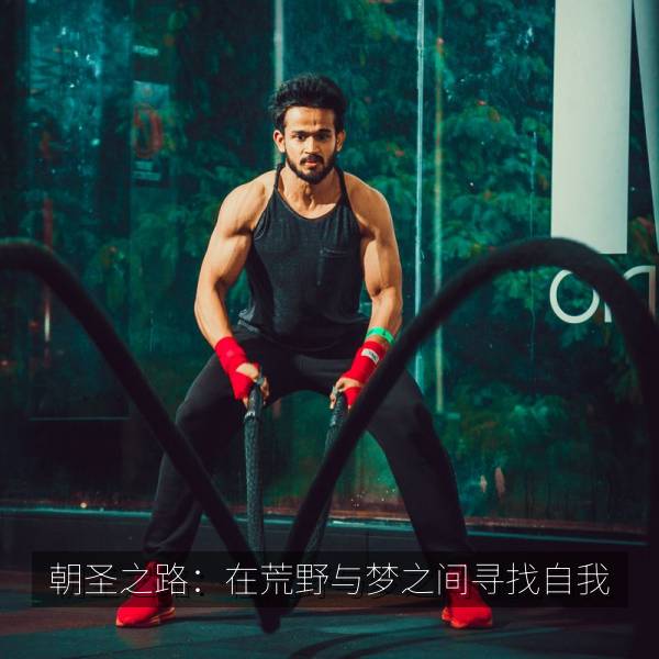 朝圣之路：在荒野与梦之间寻找自我 剧照海报