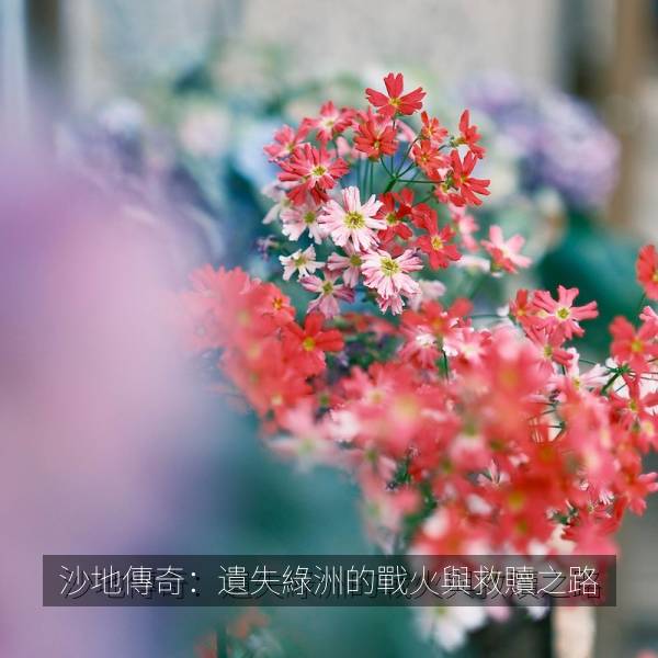 沙地傳奇：遺失綠洲的戰火與救贖之路 海报