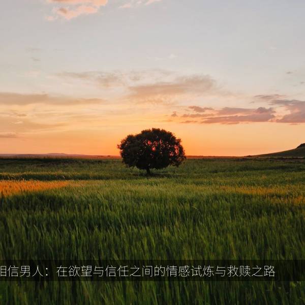 相信男人：在欲望与信任之间的情感试炼与救赎之路 海报