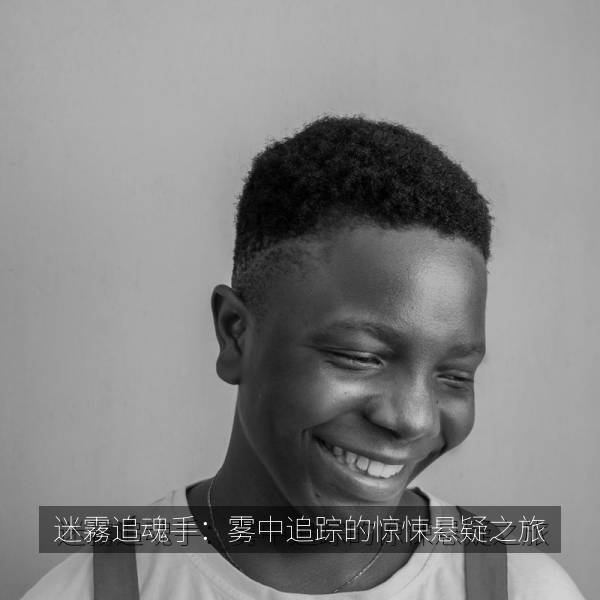 迷霧追魂手：雾中追踪的惊悚悬疑之旅 海报