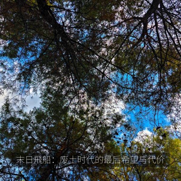 末日飛船：废土时代的最后希望与代价 海报