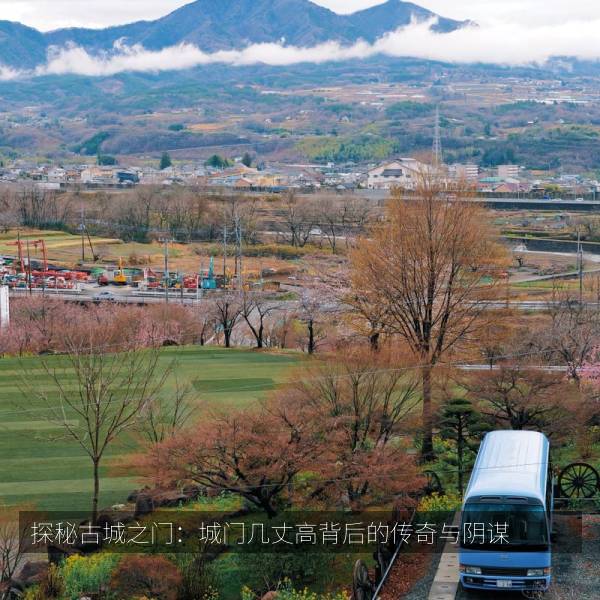探秘古城之门：城门几丈高背后的传奇与阴谋 海报