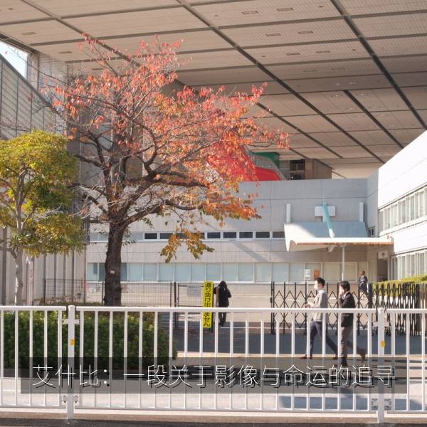 艾什比：一段关于影像与命运的追寻 海报